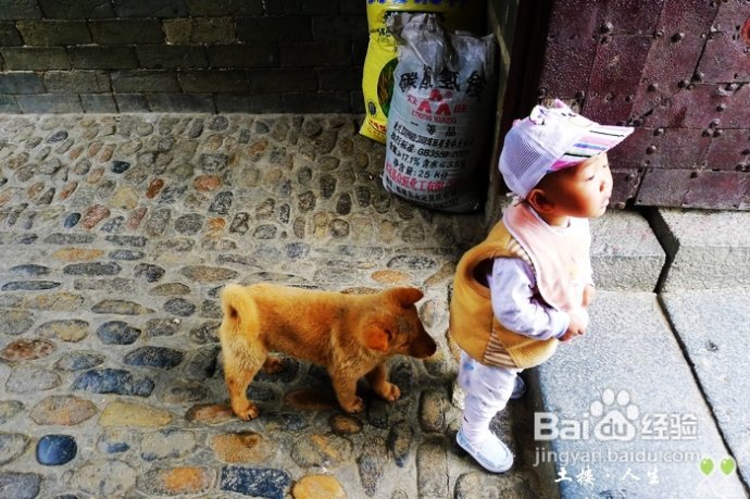 66@365【洪坑】土楼精华一日游