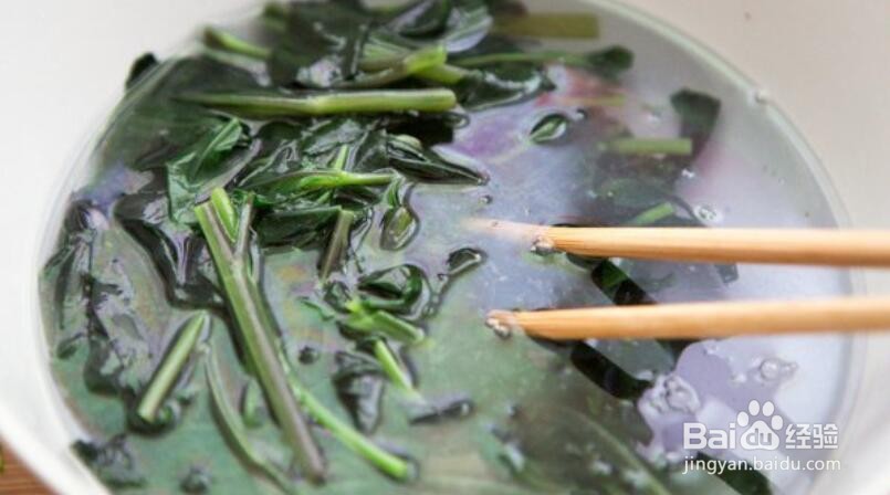 紫背天葵怎么吃