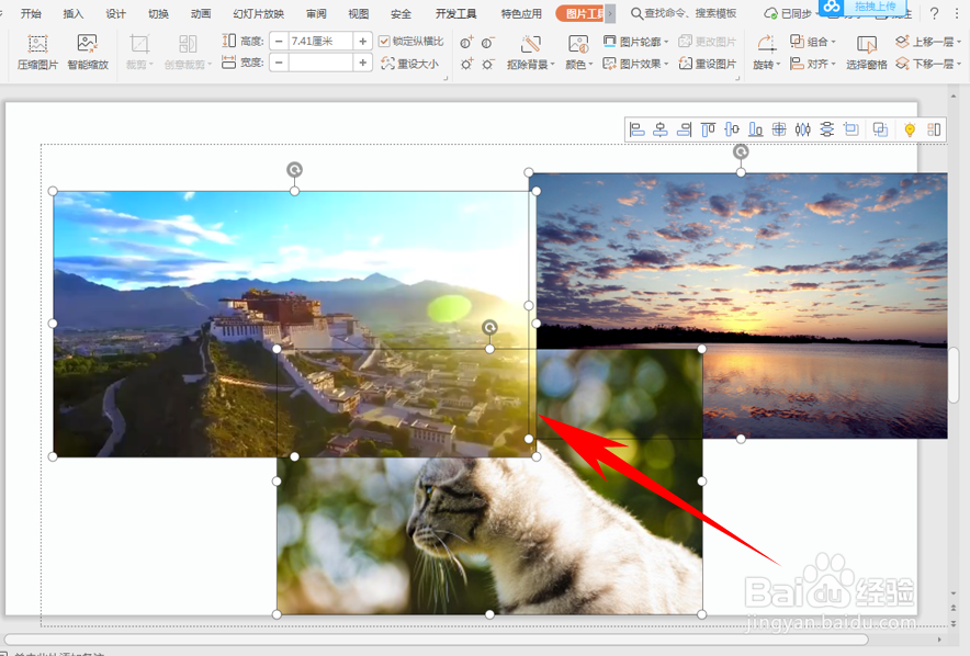 在PPT中插入多张图片怎么快速对齐？