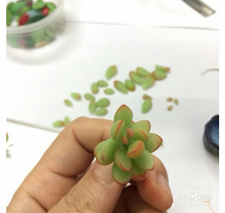 多肉黏土教程