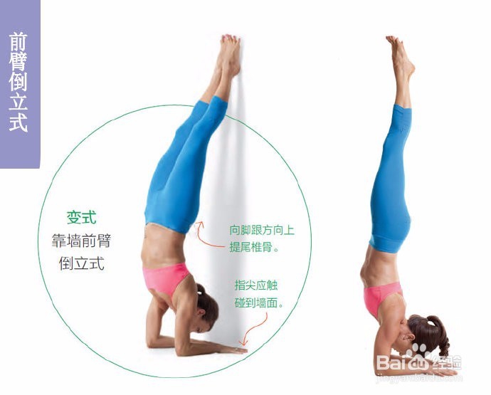 Yvette 6个花样倒立姿势