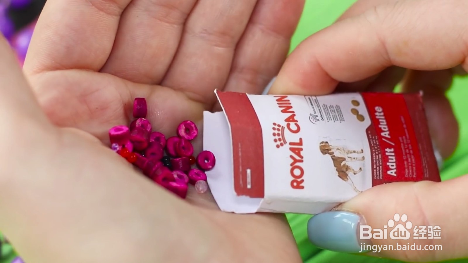 如何给宠物狗狗diy美味的食物？