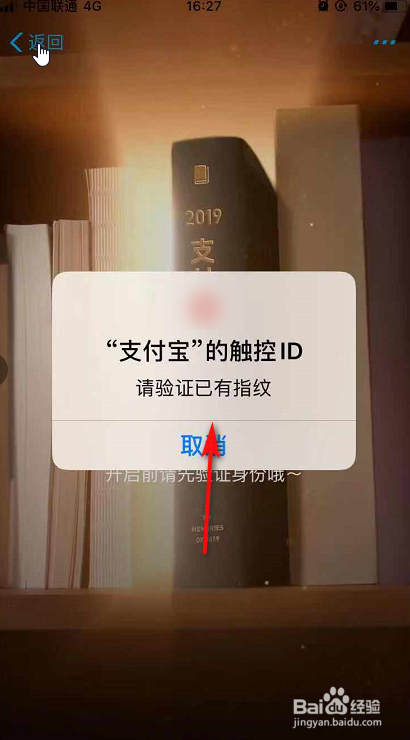 支付宝如何查询2019年的账单