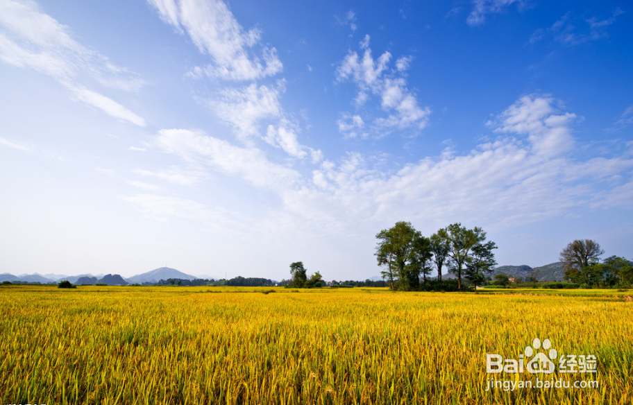 国内义工旅行民宿青年旅舍攻略2