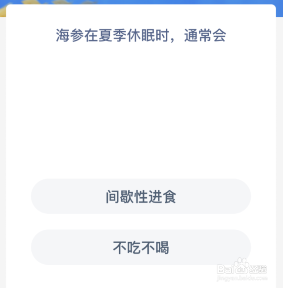 神奇海洋：海参在夏季休眠时通常会