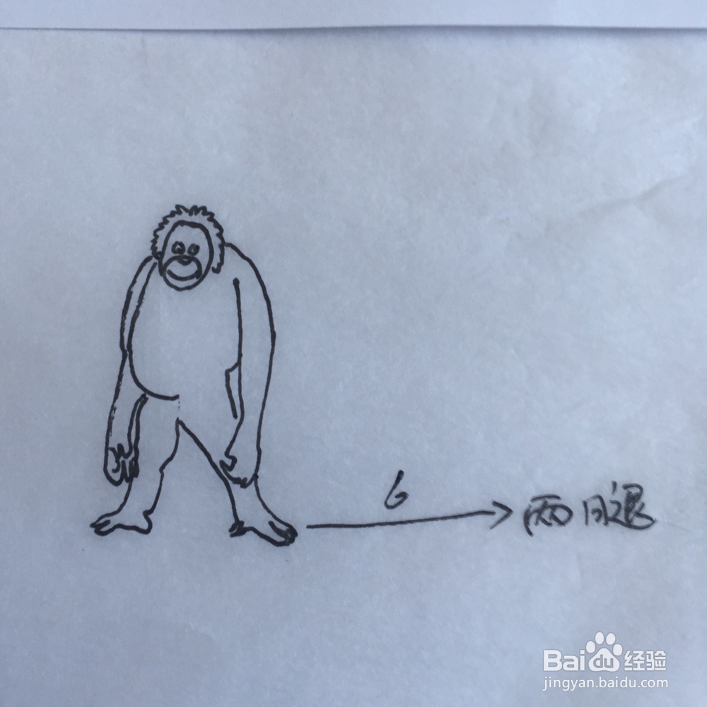 如何画简笔大猩猩