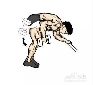 只需一对哑铃,在家锻炼全身肌肉!