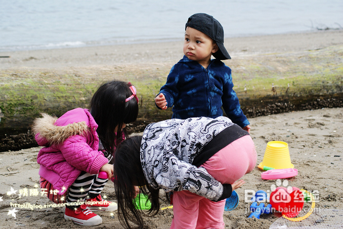 拾海的孩子&亲亲小动物(组图)