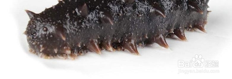如何辨别海参的好坏