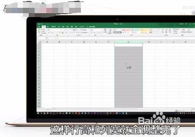 怎么调整表格的行高和列宽