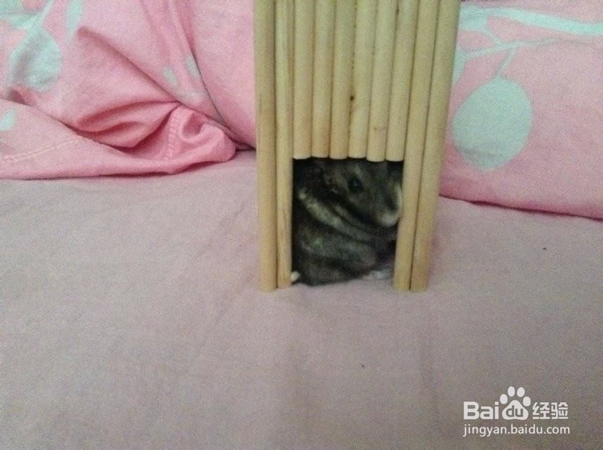 如何手工制作仓鼠水壶架及小窝