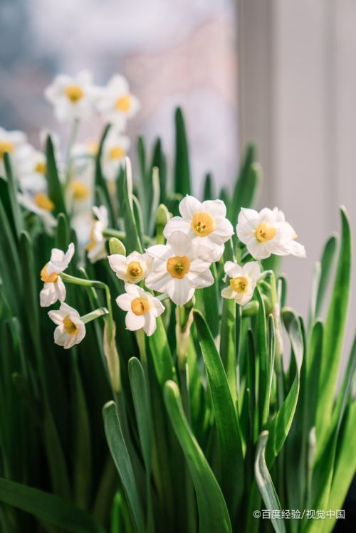 一什么山花量词怎么填 百度经验
