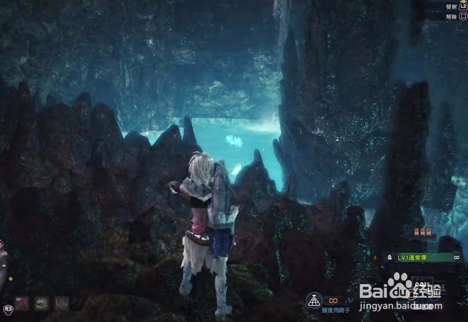 怪物猎人世界化石汤釜在哪捕获？解锁遇到活化石