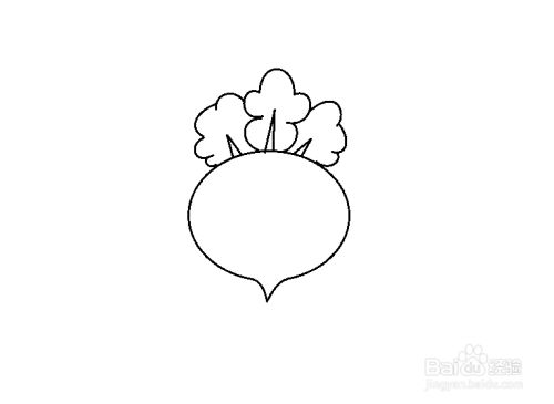 在3个小尖尖上面用半圆形组成3棵萝卜缨,如图所示.