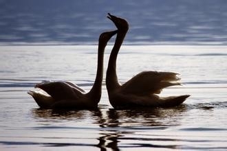 相亲要注意哪些事项？