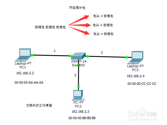 #交换机#-交换机的工作原理从这几点理解