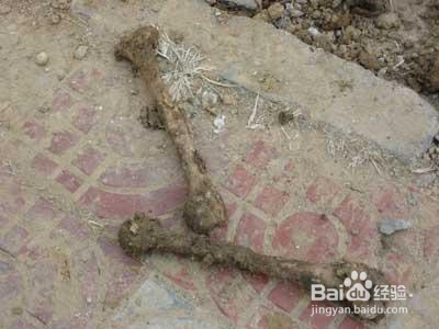 怎样制咸钾肥氮肥磷肥