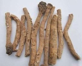 挑选板蓝根需要注意些什么？