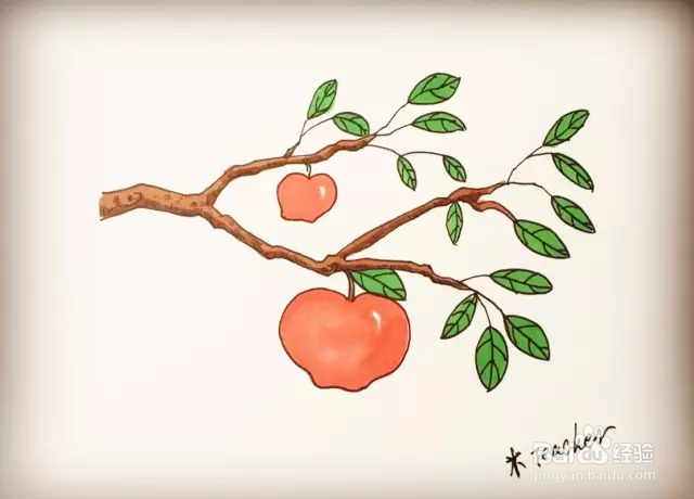 简笔画怎么画苹果树？