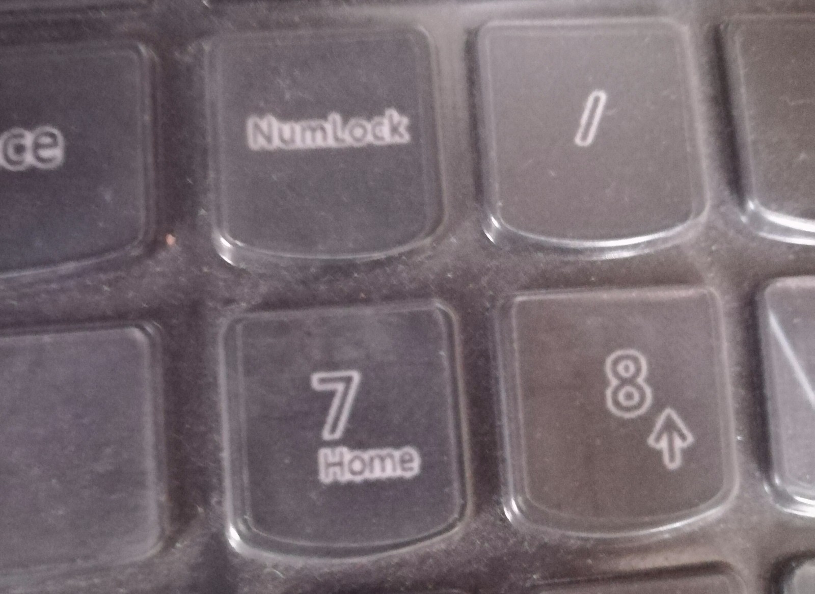 笔记本电脑打字出数字是怎么回事