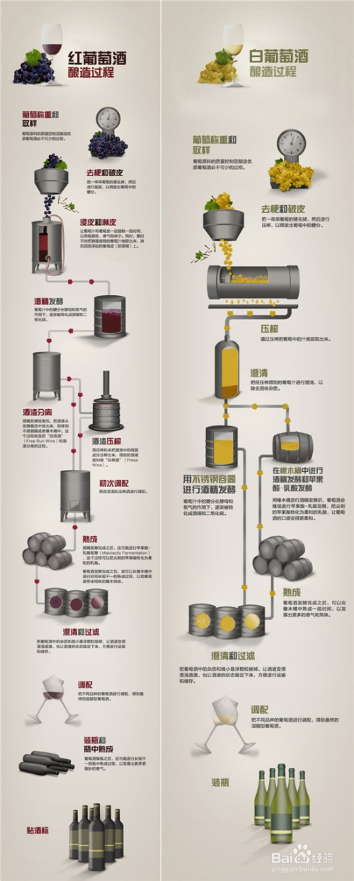 圖解紅/白葡萄酒釀造過程之異同