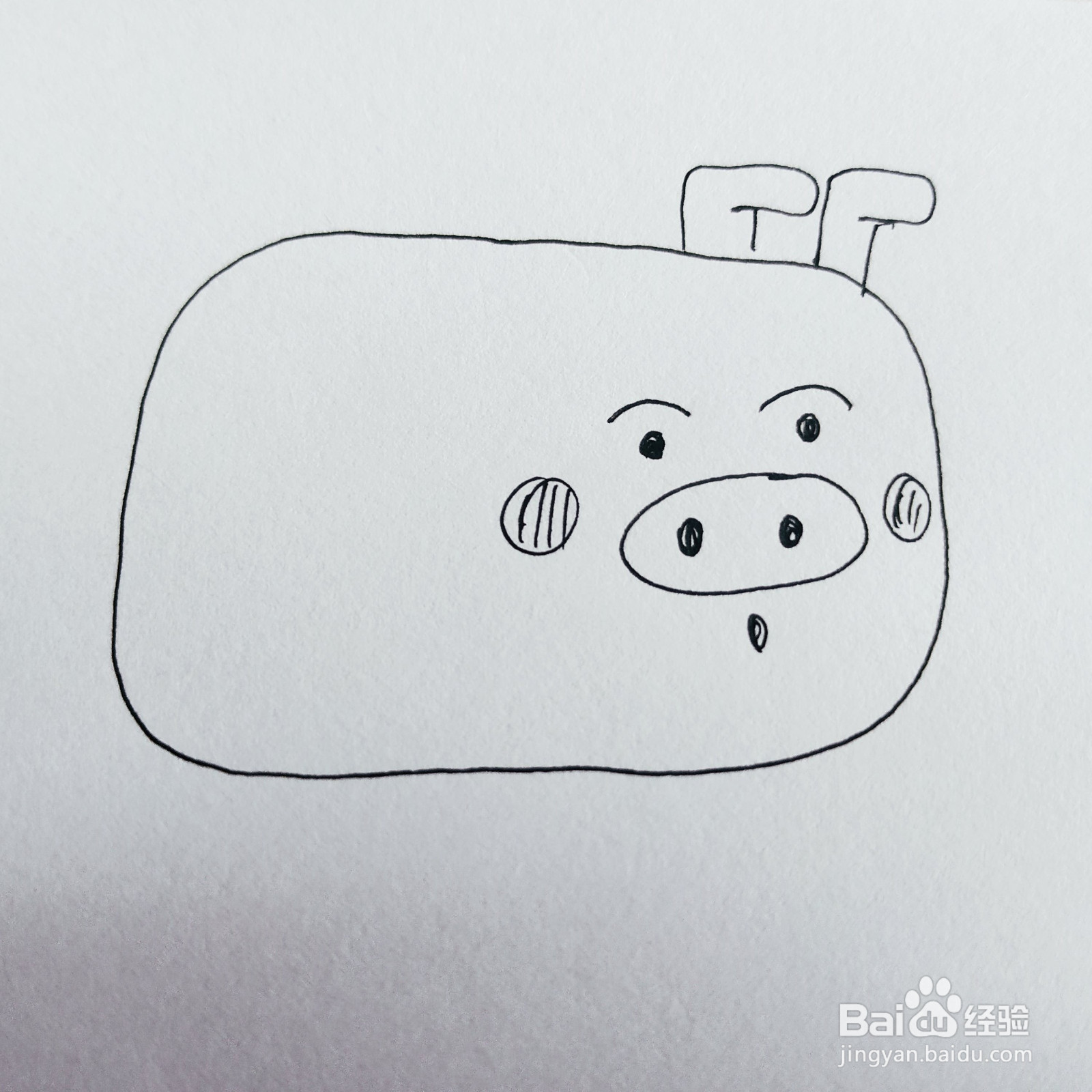 如何来教给孩子画一只胖嘟嘟的小猪呢？