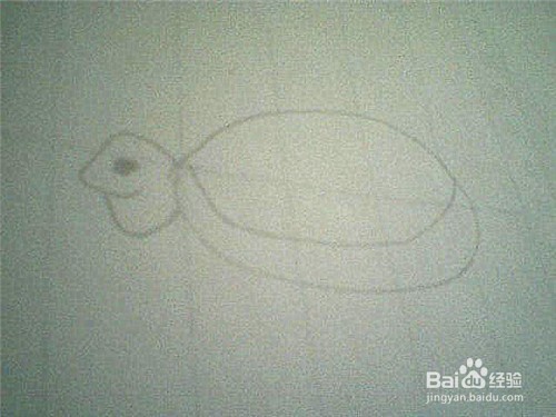 简笔画乌龟怎样画：