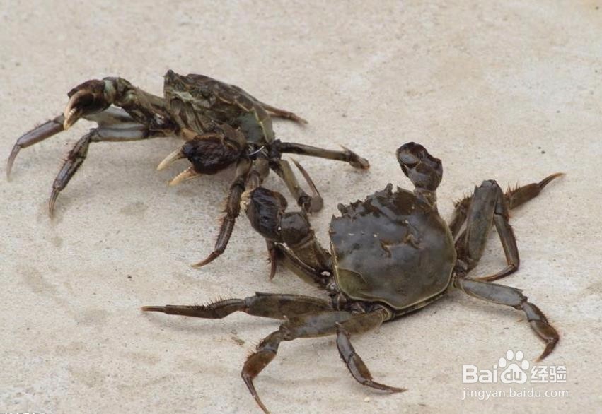 各类食物储存的小窍门