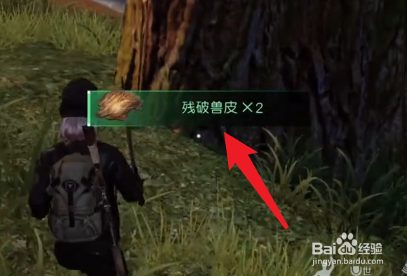 黎明觉醒兽皮怎么得