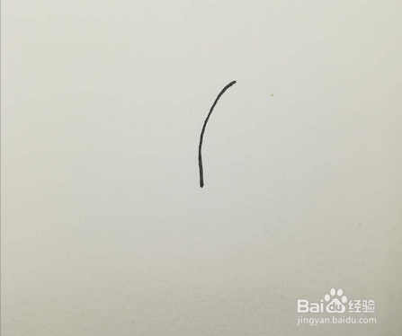 简笔画的蒲公英怎么画