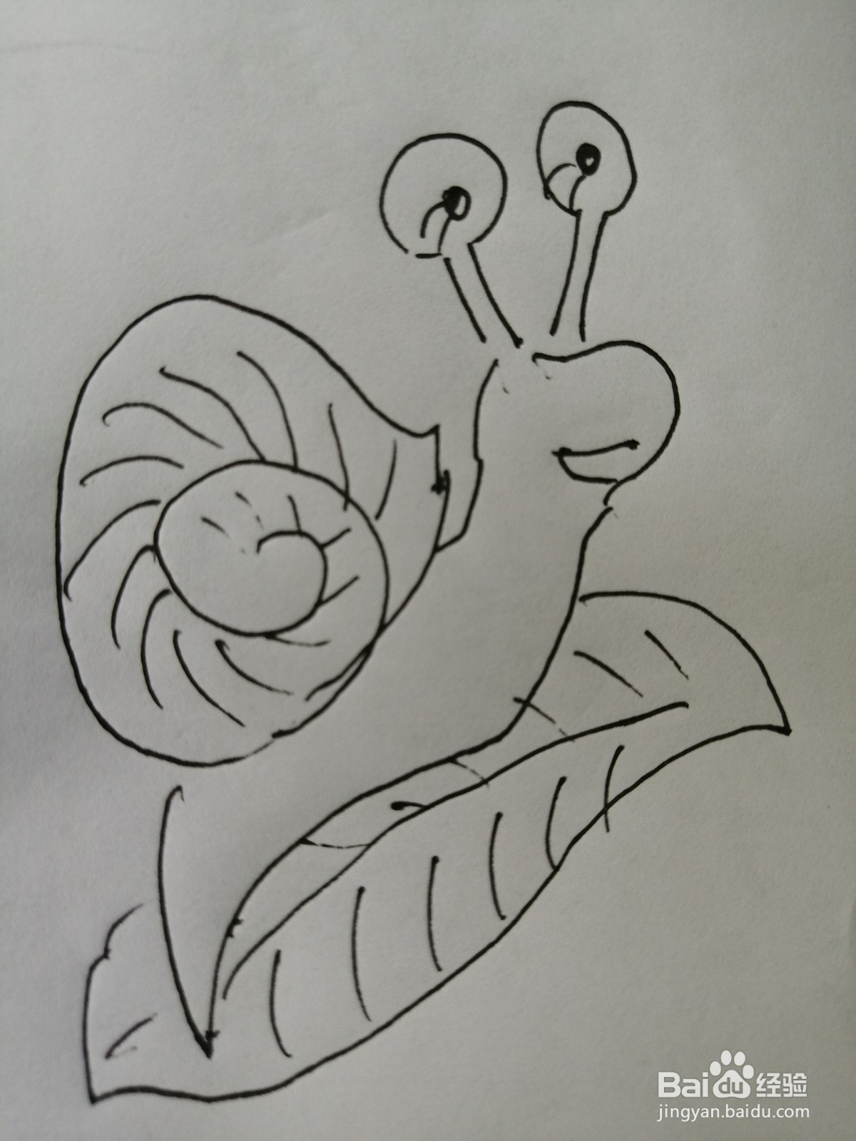 <b>可爱的小蜗牛怎么画</b>