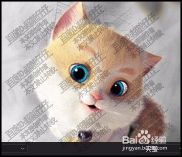 pr中如何把猫咪两只眼睛变亮