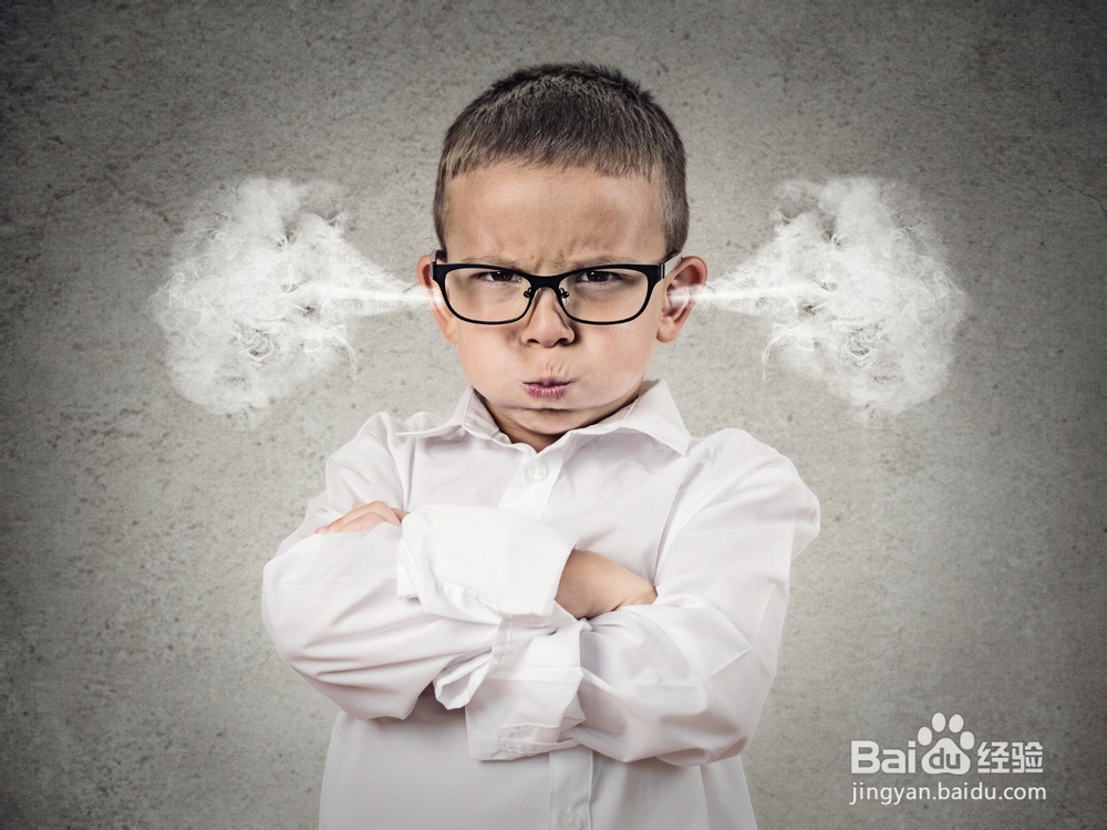 2020年填报志愿指南