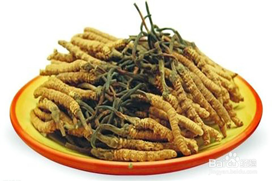 买回冬虫夏草怎么保管