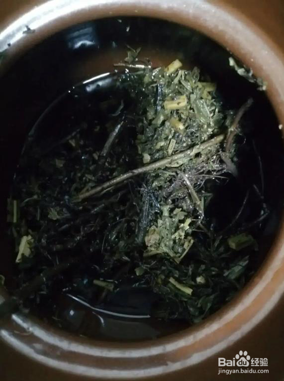 益母草煮水的正确选购、煮法和喝法