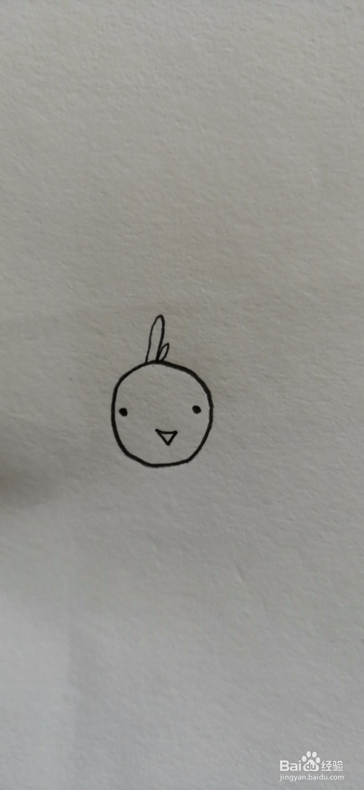 简笔画-可爱卡通小鸡简笔画