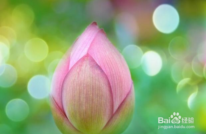 有哪些摄影后期处理App值得推荐？