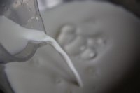 抹茶布丁如何做