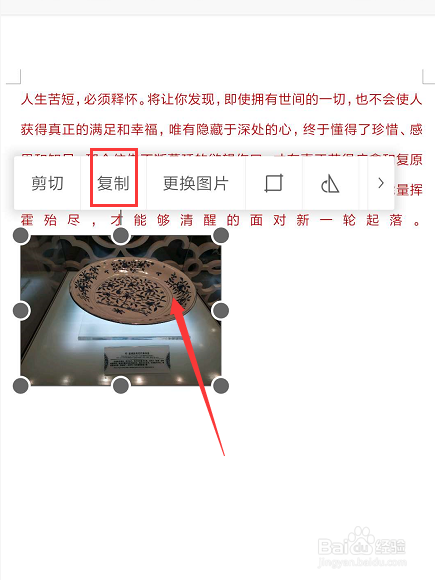 在手机WPS文档中怎样复制图片