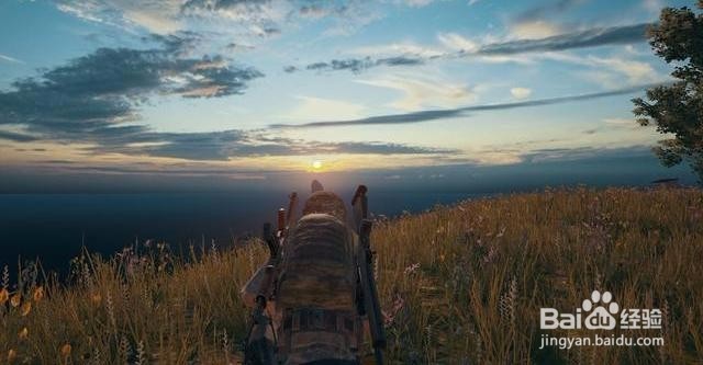 刺激战场几个比较难获取的称号获取方法