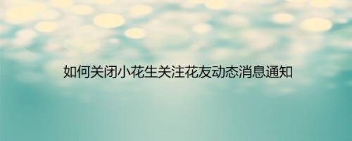 如何关闭小花生关注花友动态消息通知