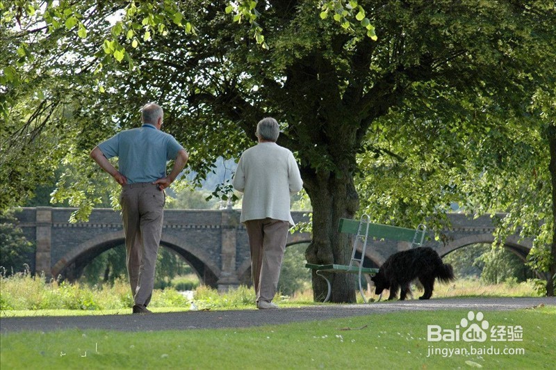 老年人“撞树养生“需谨慎!