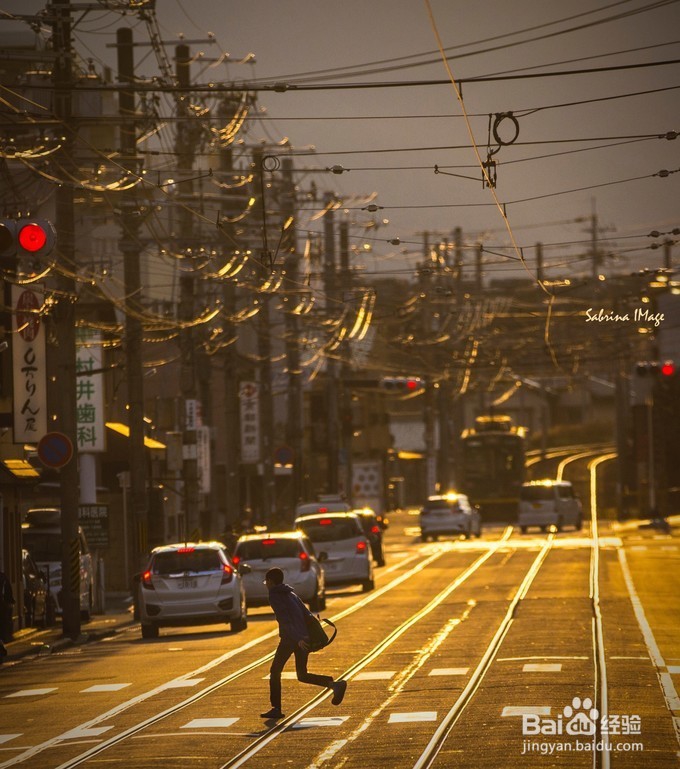 日本，霓虹国走花路