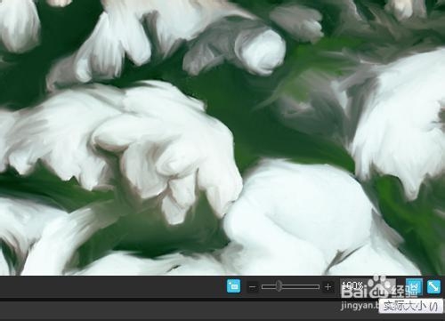 ACDSee查看模式如何固定百分比或适合图像显示