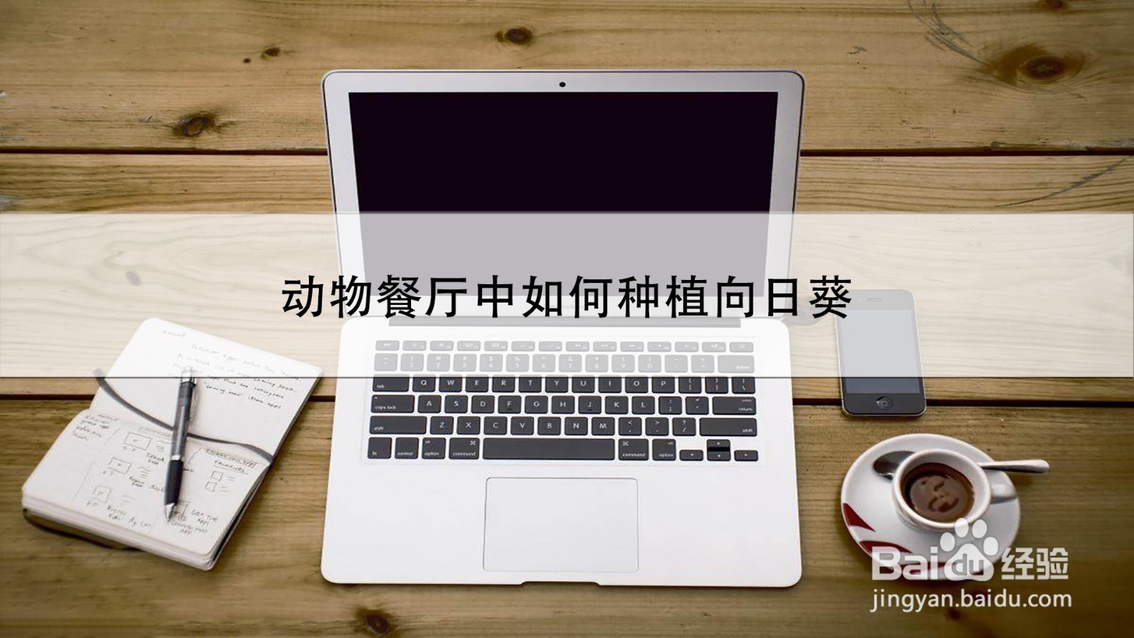 动物餐厅中如何种植向日葵