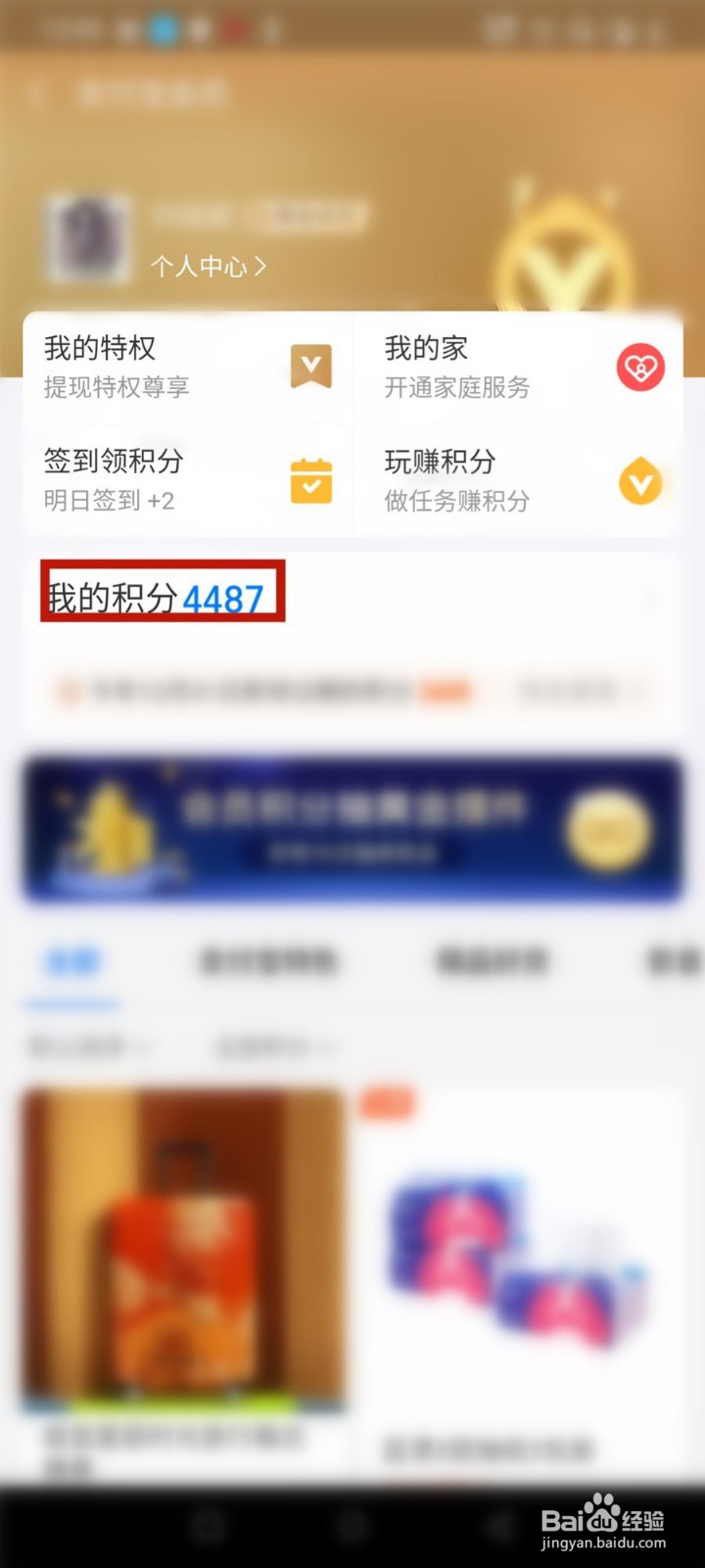 支付宝怎么查看支付宝会员积分