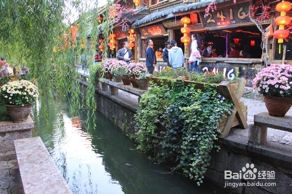 旅游-云南六日行-Day3