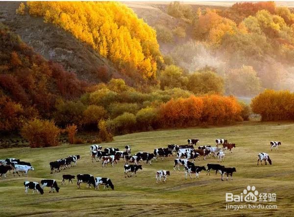 逃离人海!十月这些小众景点人少景美!