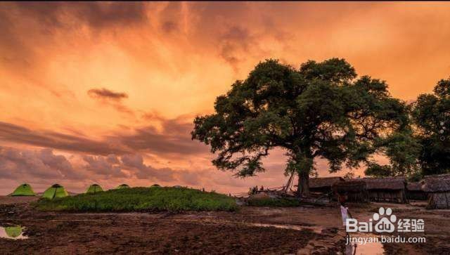 马达加斯加怎么玩