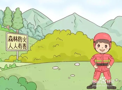 遇到山林火灾时应当怎么做